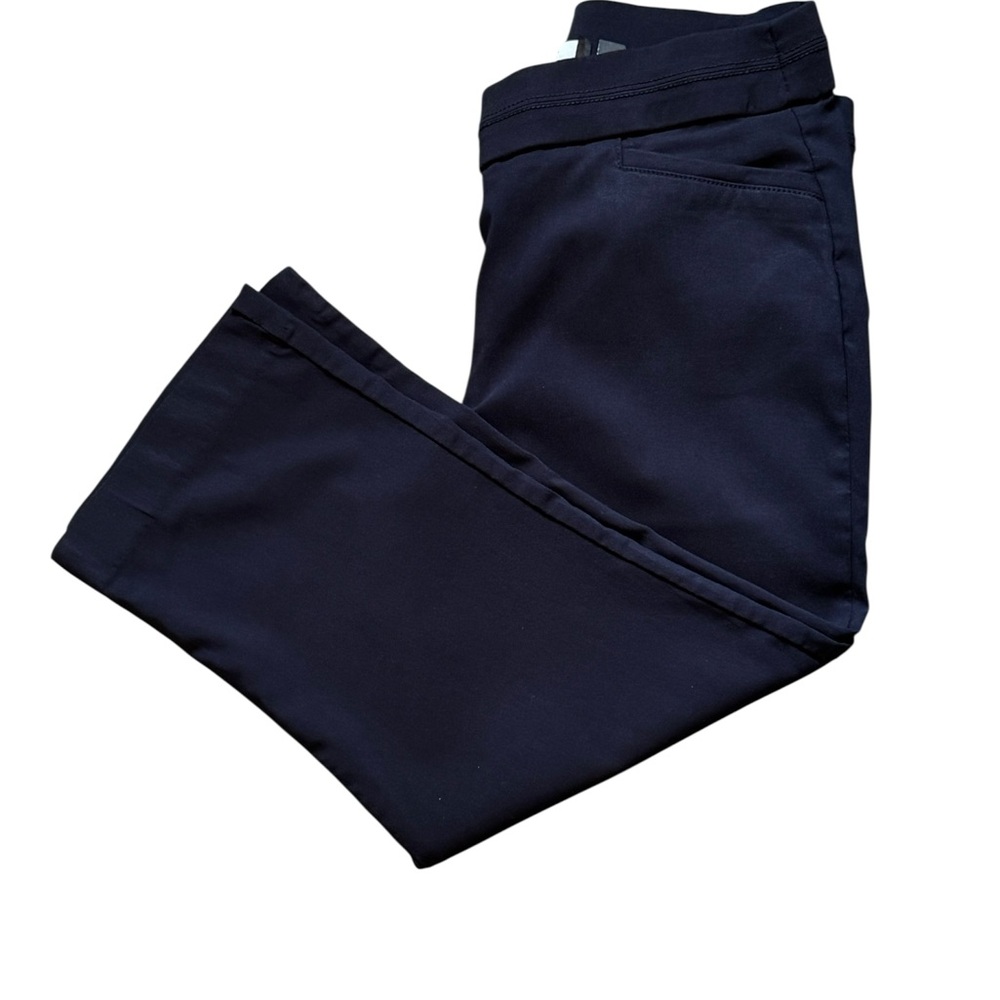 Briggs Womans Navy Blue‎ pants